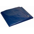 Fgi 20 ft x 30 ft Tarp, Blue 482003001